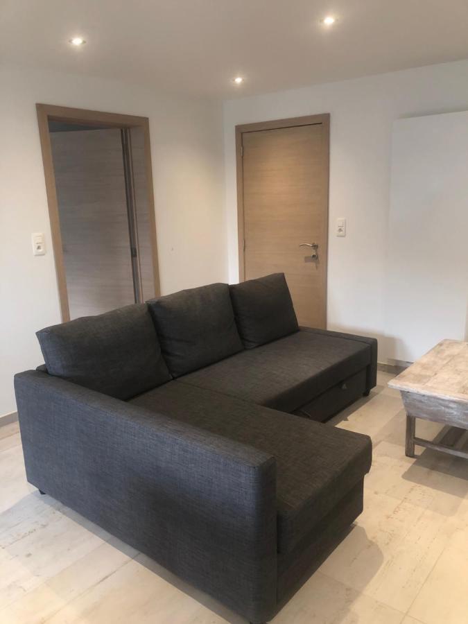 Pegasus I - 2 Chambres De Luxe, Cuisine, Salon, 2 Terrasses Et Sauna Vielsalm Exteriör bild
