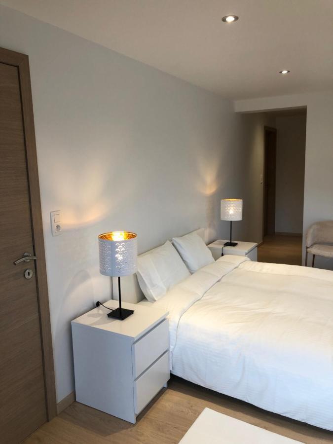 Pegasus I - 2 Chambres De Luxe, Cuisine, Salon, 2 Terrasses Et Sauna Vielsalm Exteriör bild